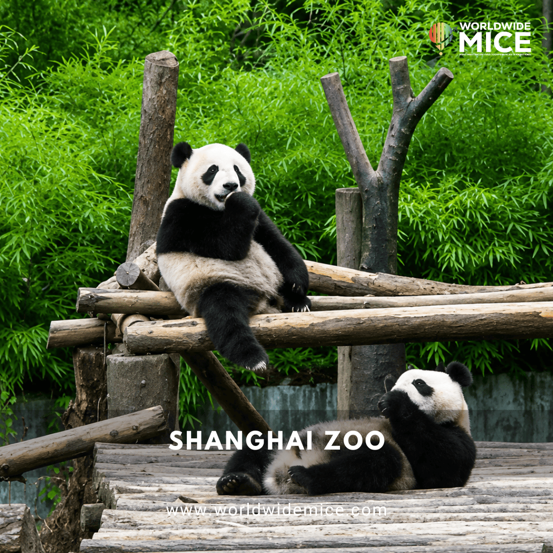 Shanghai Zoo